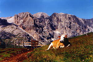 Der Pass wird von einem furchtbaren Minotaurus bewacht...(c) by MB